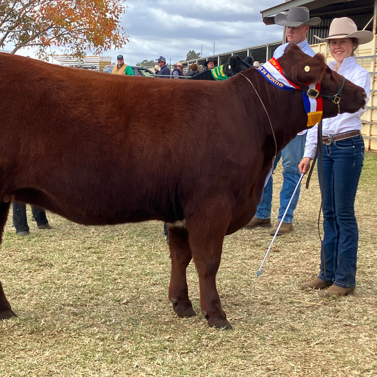 Our Livestock Show Team Attends Dubbo Show Macquarie Anglican Grammar School